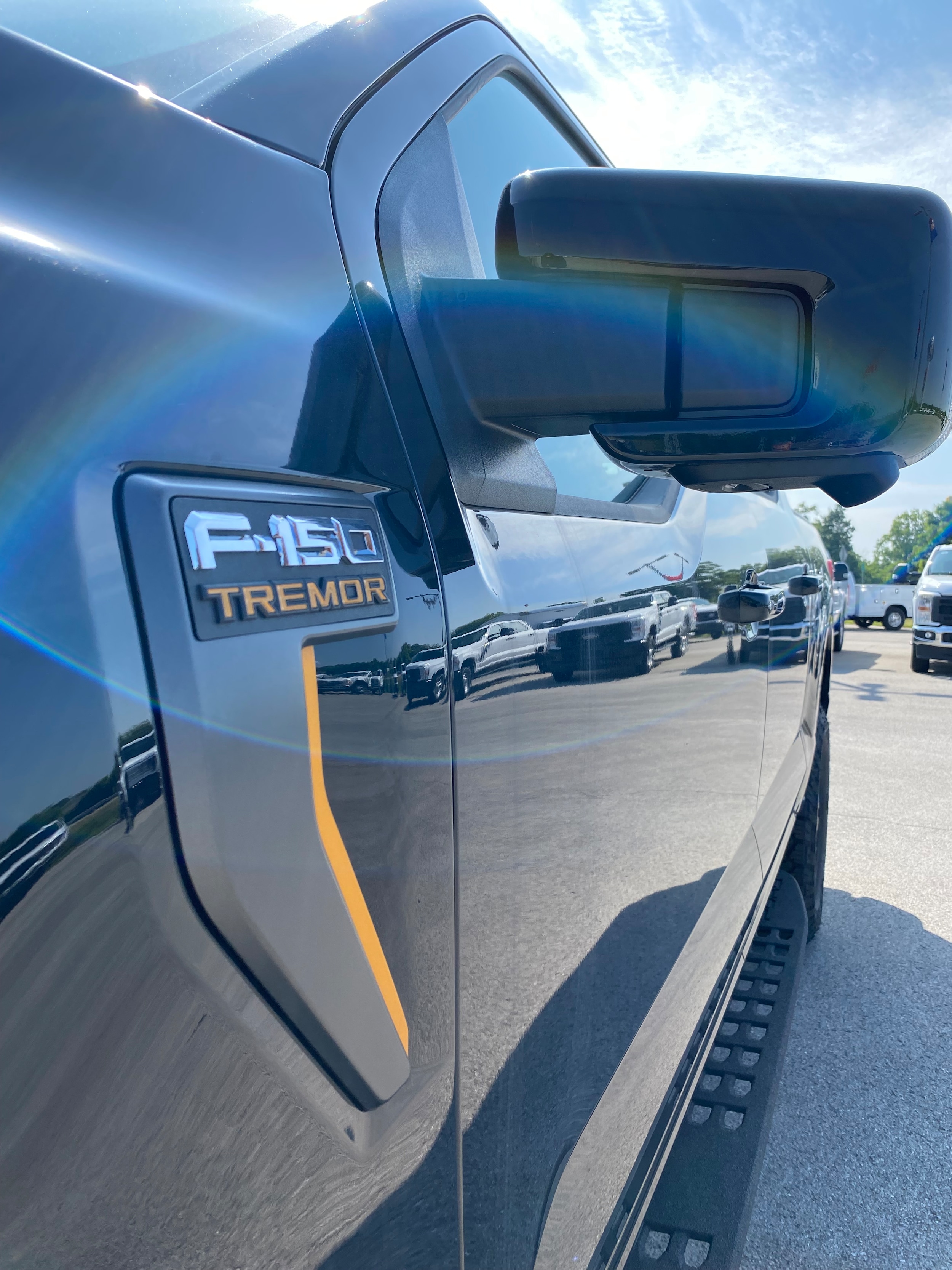 Ford F-150 Tremor Badging