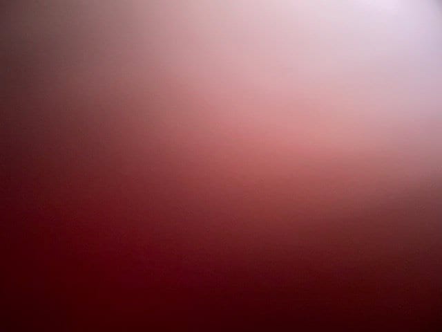Photo 51