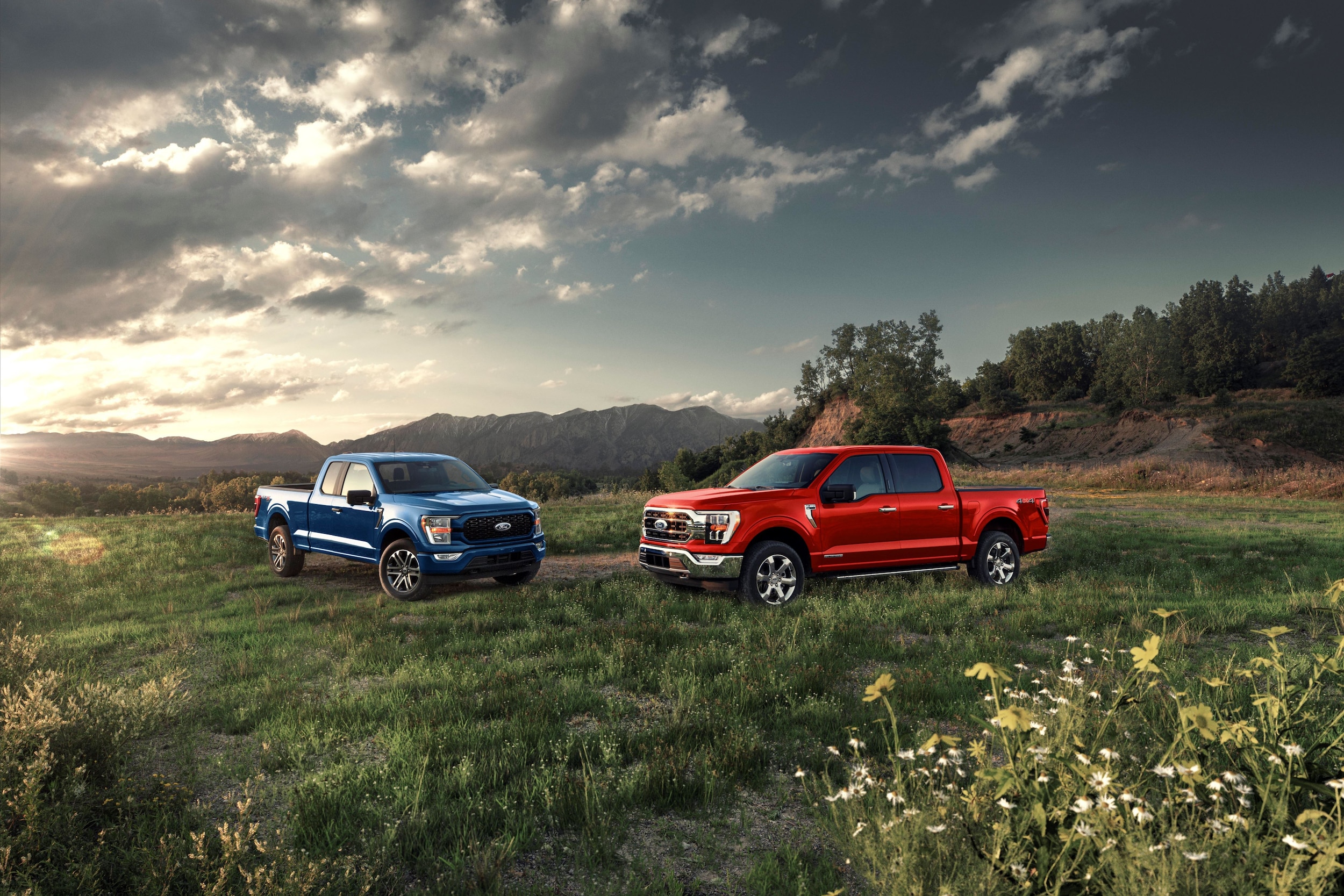 Ford F150 Flower Field Compressed .jpg