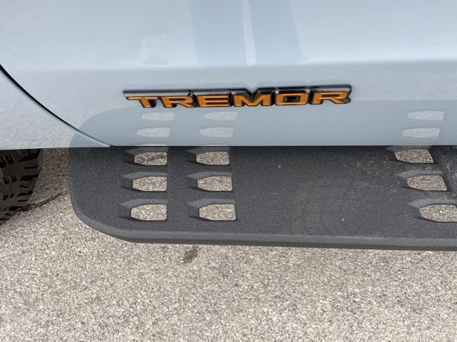 2026 Ford Expedition Tremor - Photo 8