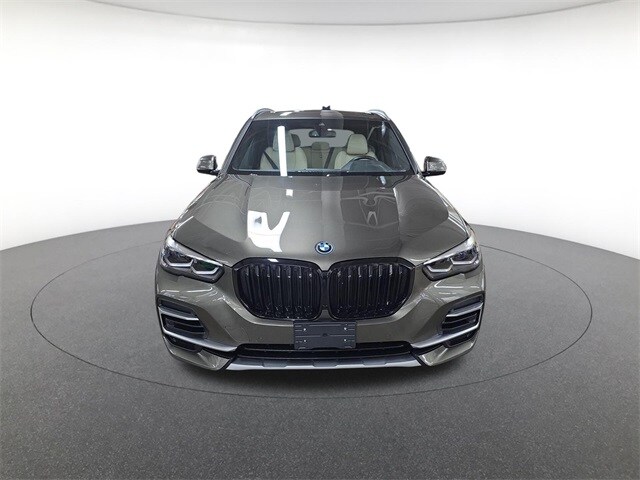 2022 Bmw X5 xDrive45e photo 2