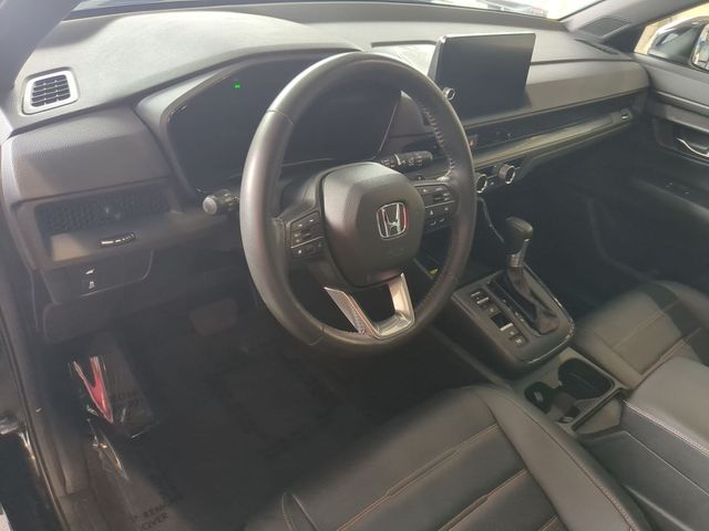 Photo 11