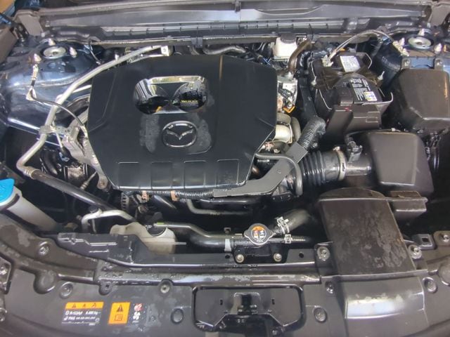Photo 24