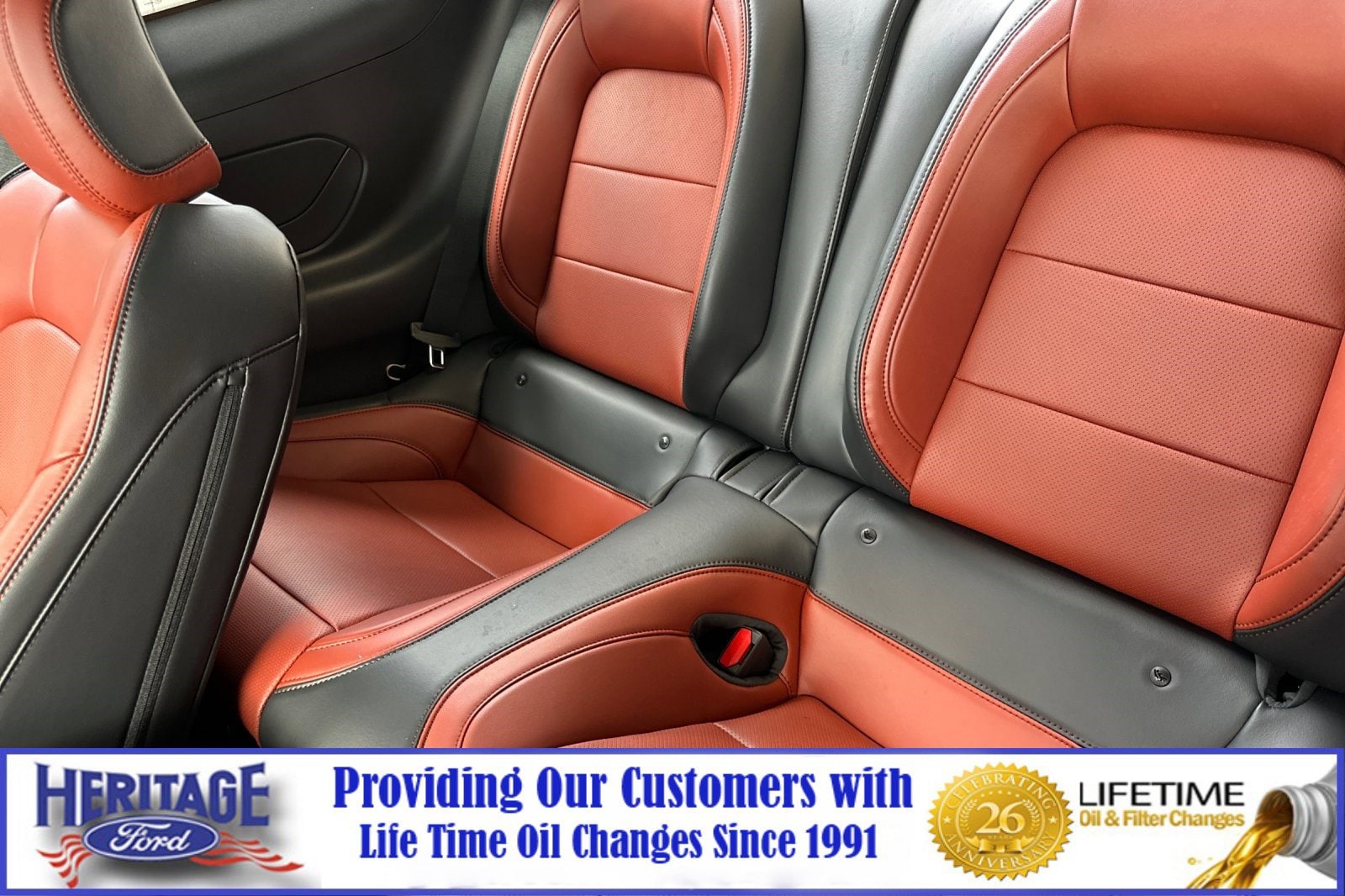 2025 Ford Mustang GT Premium Fastback - Photo 8