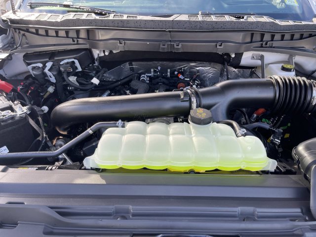New 2026 Ford F-150 Tremor® Truck