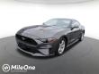 Used 2019 Ford Mustang EcoBoost Coupe