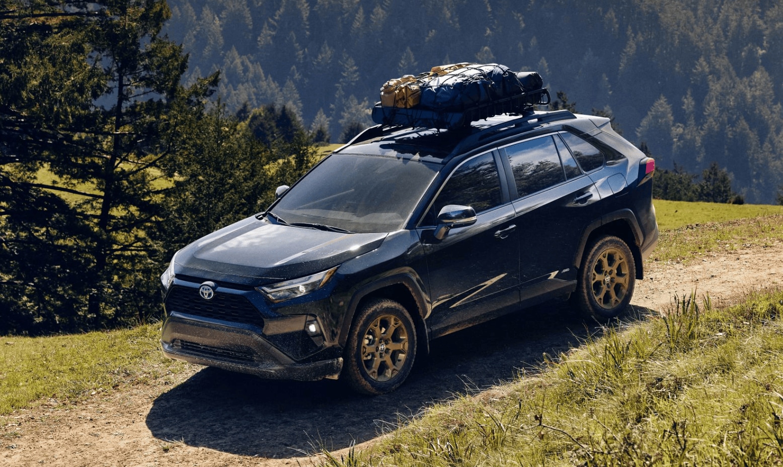 2024_Toyota_RAV4_exterior_2.PNG