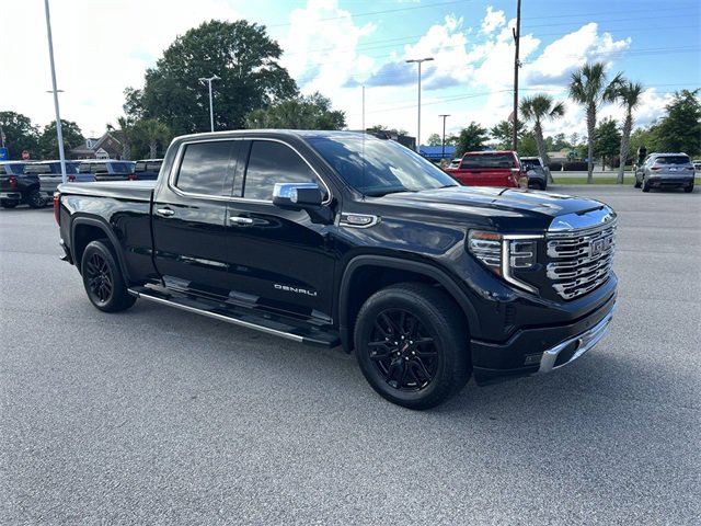 2024 Gmc Sierra 1500 Denali photo 2