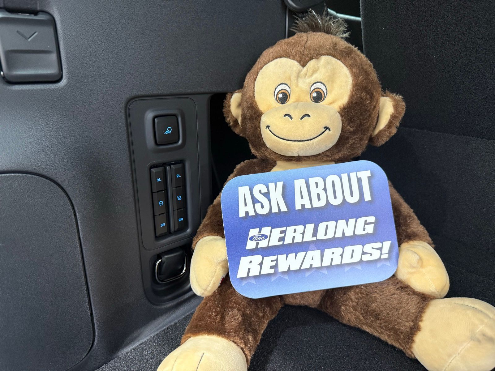 2025 Ford Expedition Tremor - Photo 12