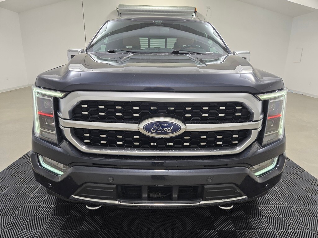 2021 Ford F-150 Platinum photo 2