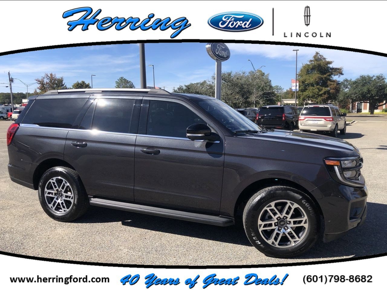 2025 Ford Expedition Active's photo