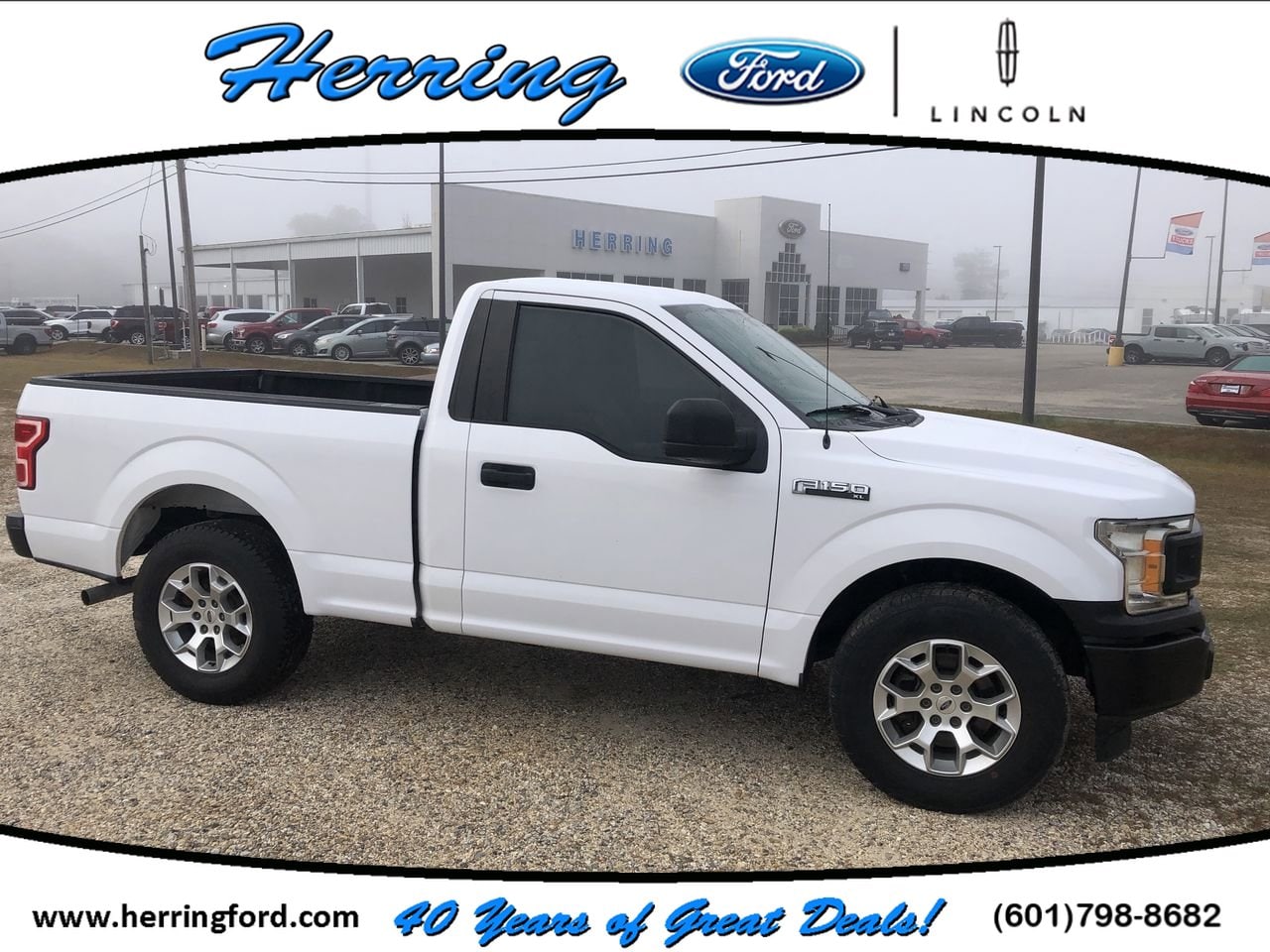 2019 Ford F-150 XL's photo