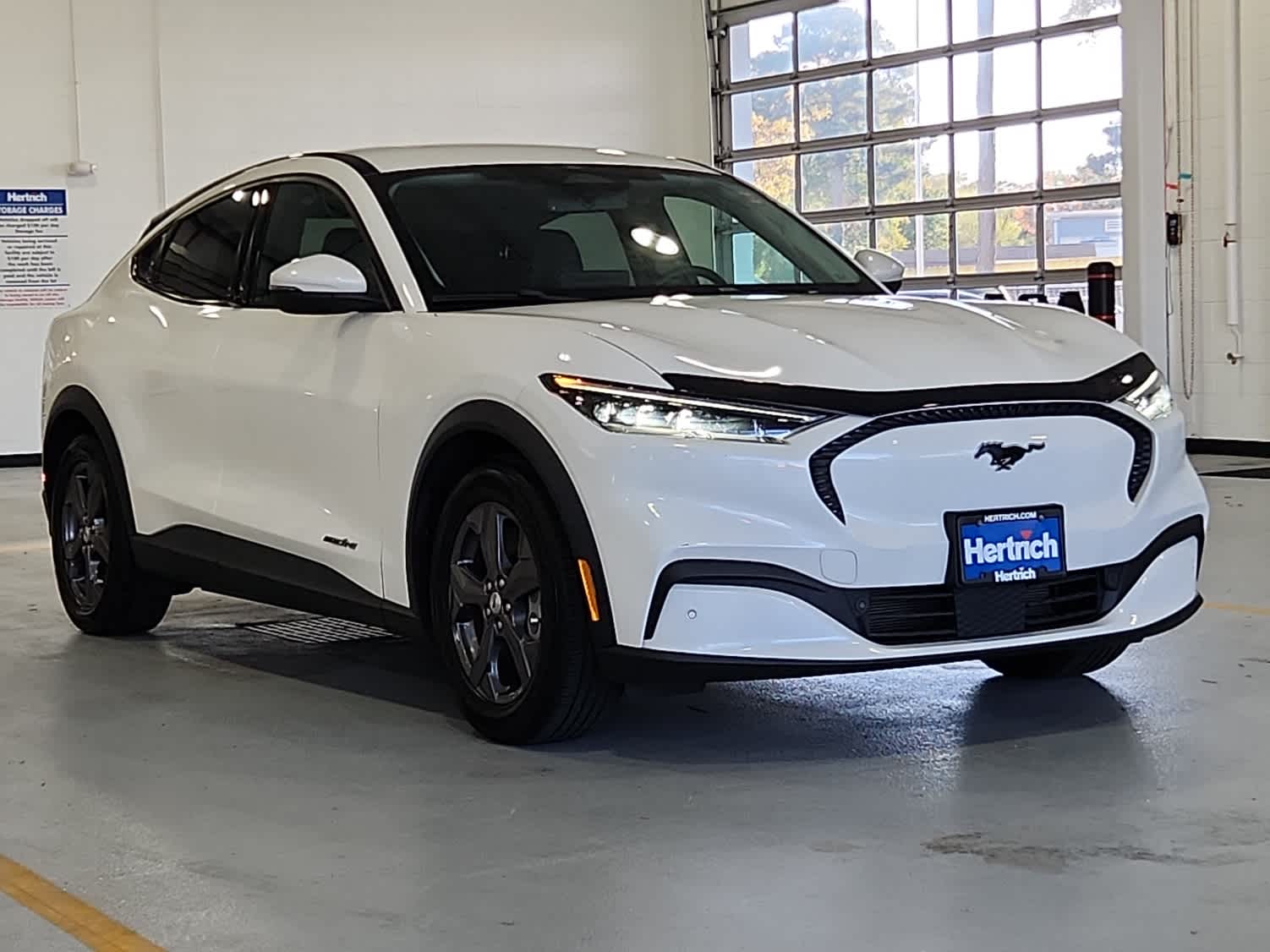 Used 2022 Ford Mustang Mach-E Select RWD with VIN 3FMTK1RM5NMA17797 for sale in Salisbury, MD