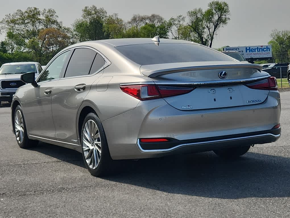2019 Lexus ES 300h Luxury photo 4