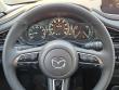 2025 Mazda CX-30 2.5 S Premium Package SUV