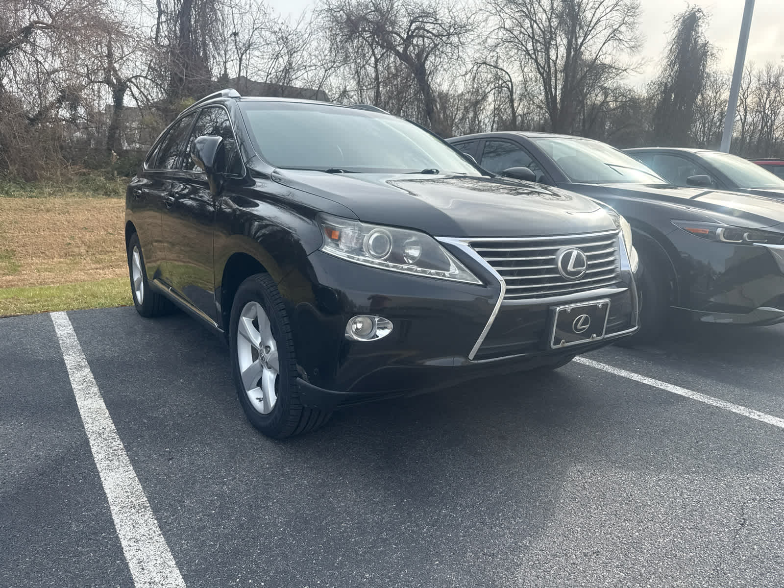 2013 Lexus RX 350's photo
