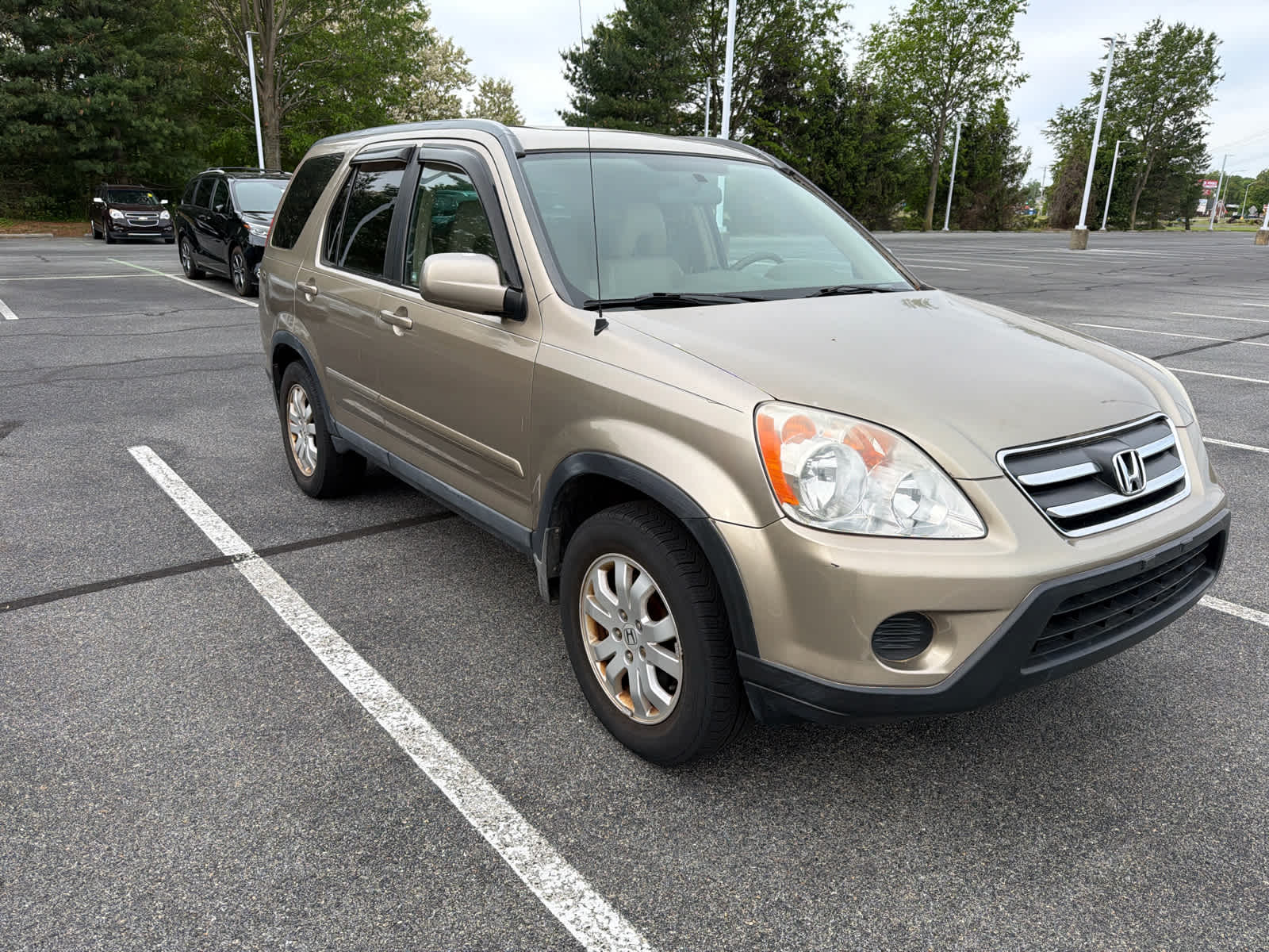 2006 Honda CR-V SE 4WD 5AT's photo