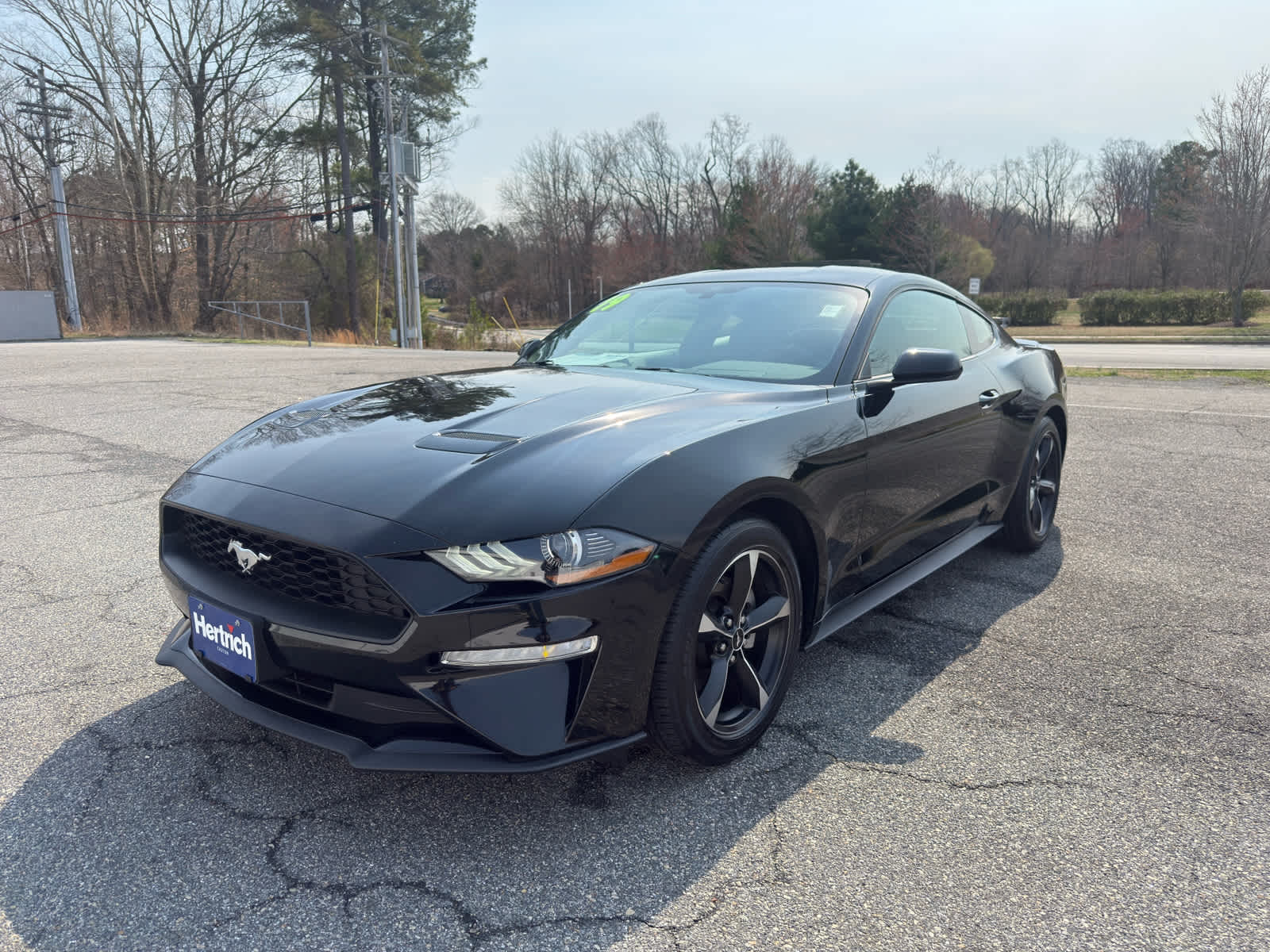 2019 Ford Mustang EcoBoost Coupe RWD