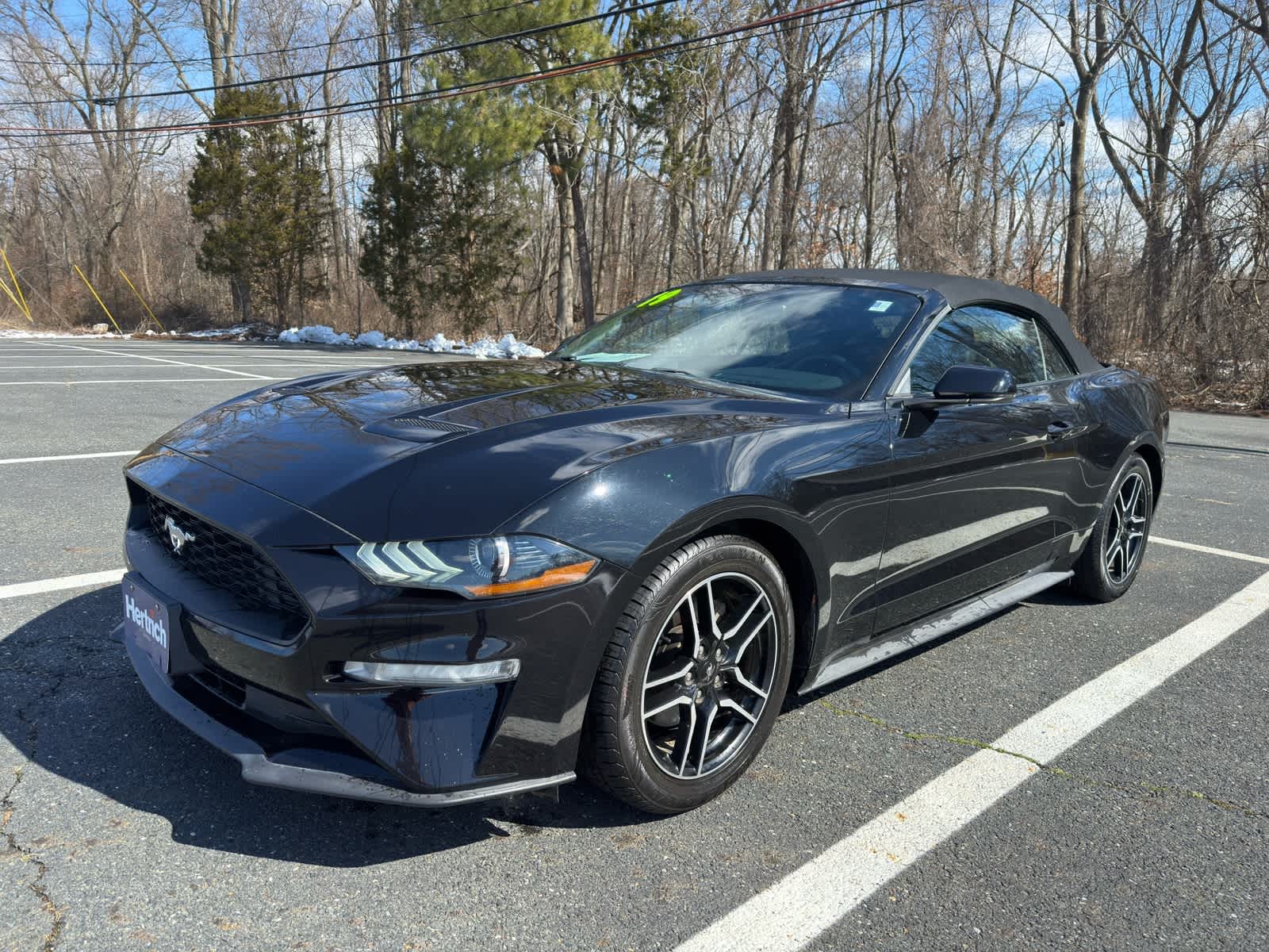 2019 Ford Mustang EcoBoost Premium