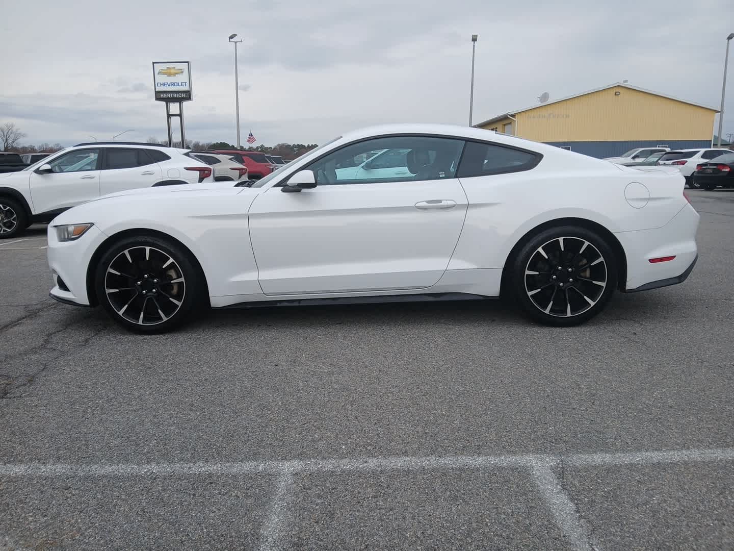 2017 Ford Mustang EcoBoost Premium photo 2