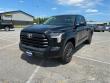 Used 2024 Toyota Tundra SR5 Double Cab 6.5 Bed (Natl) Truck Double Cab