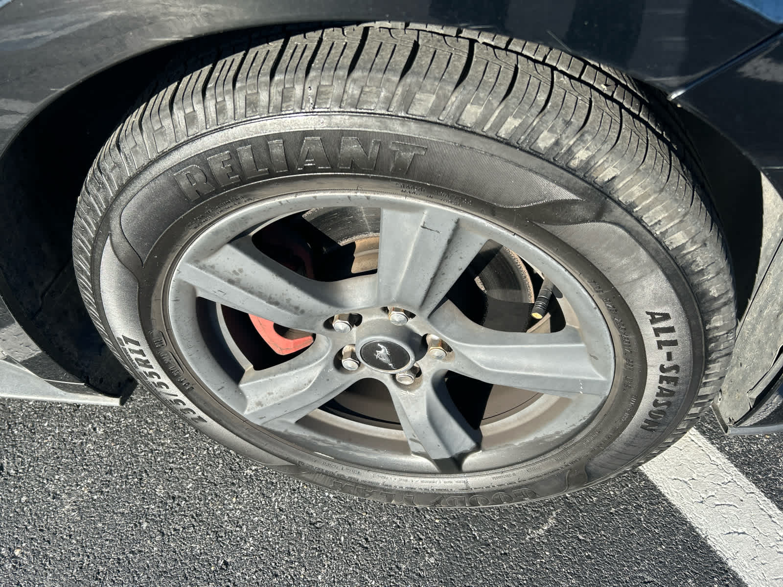 2015 Ford Mustang EcoBoost photo 3