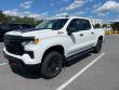 Used 2023 Chevrolet Silverado 1500 LT Trail Boss Truck