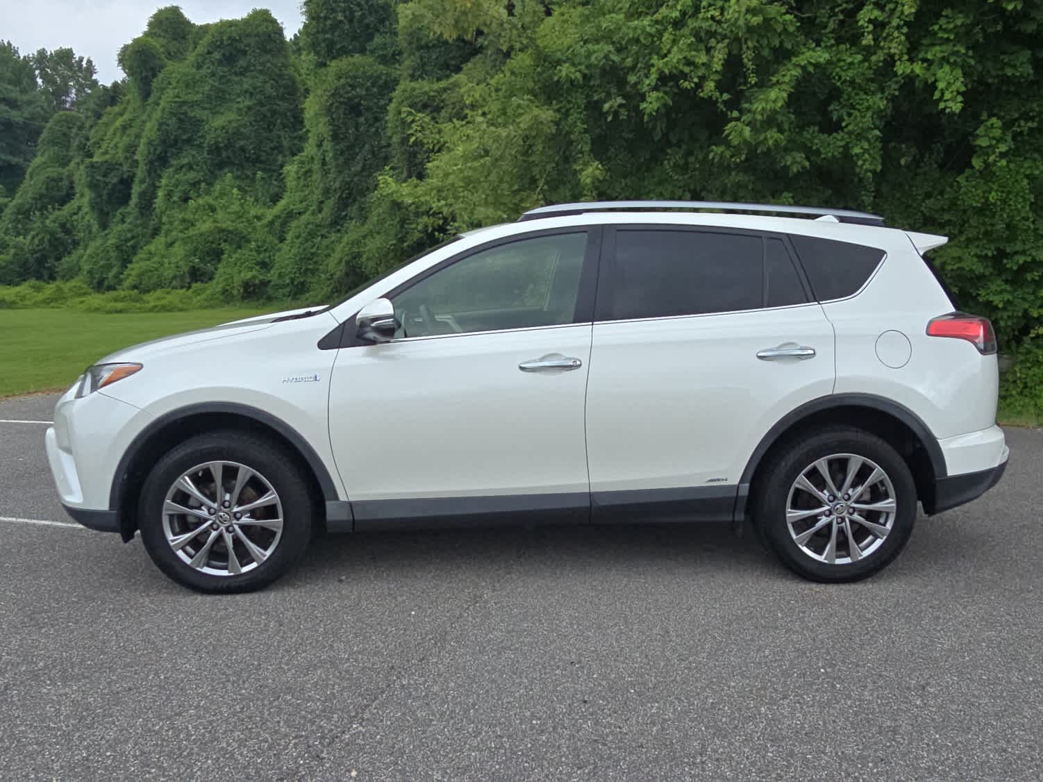 2017 Toyota RAV4 Hybrid Limited photo 2