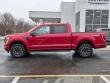 2022 Ford F-150 XLT 4WD Supercrew 5.5 Box Truck SuperCrew Cab