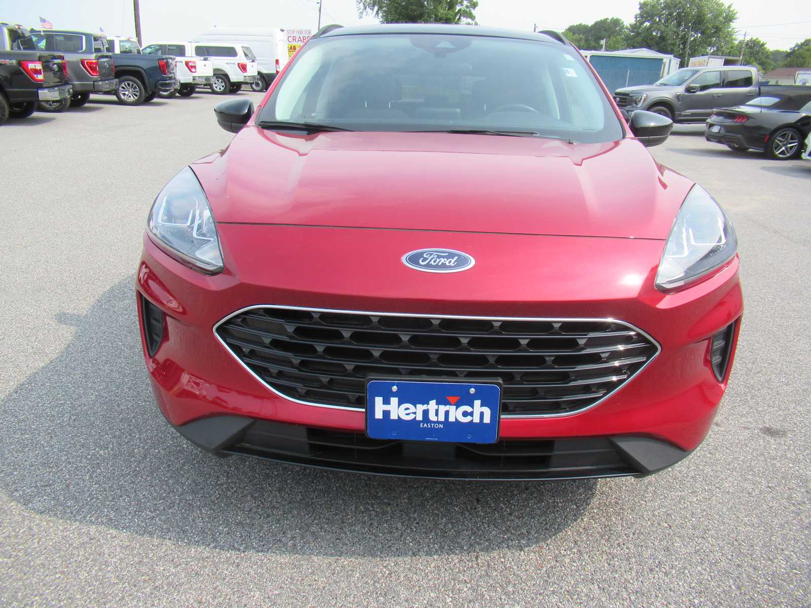 Certified 2022 Ford Escape SE with VIN 1FMCU9G68NUA07421 for sale in Easton, MD