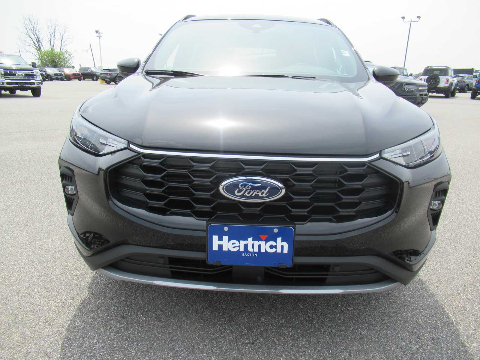 2025 Ford Escape ST-Line Select photo 2