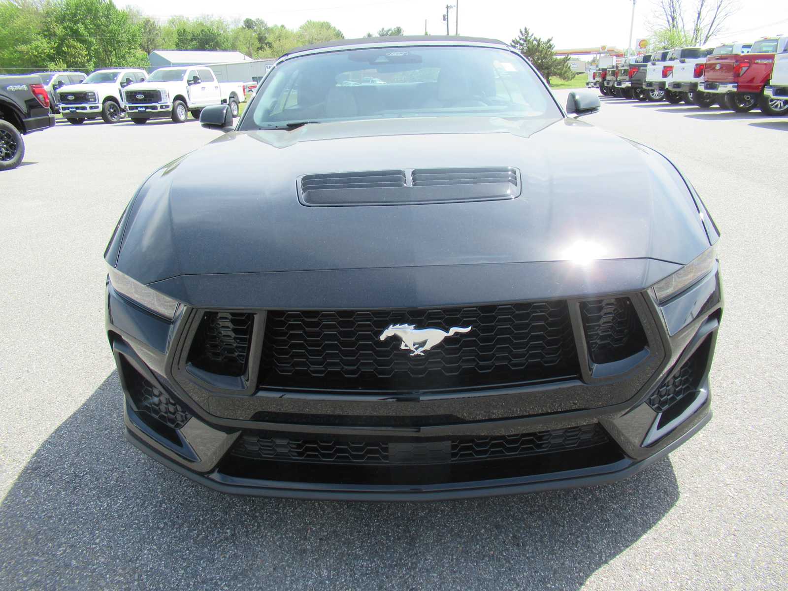 2025 Ford Mustang GT Premium Convertible photo 2
