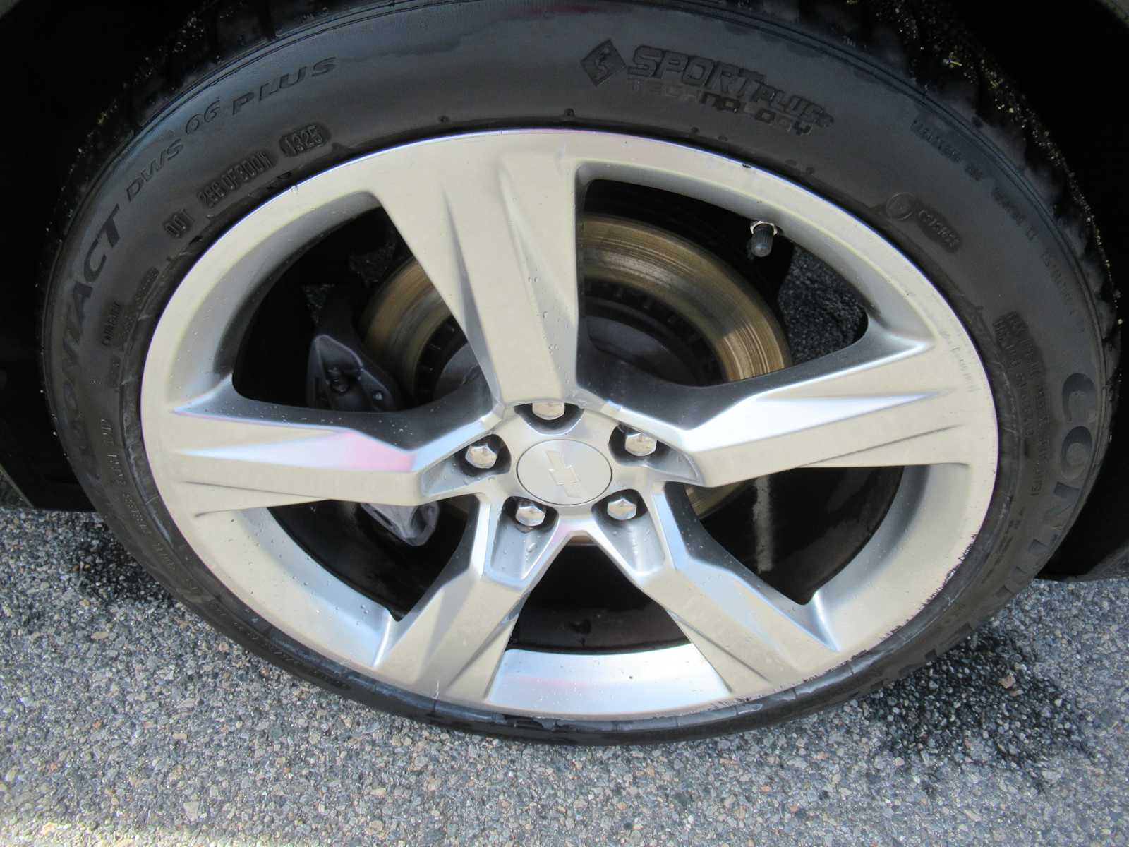 Photo 10