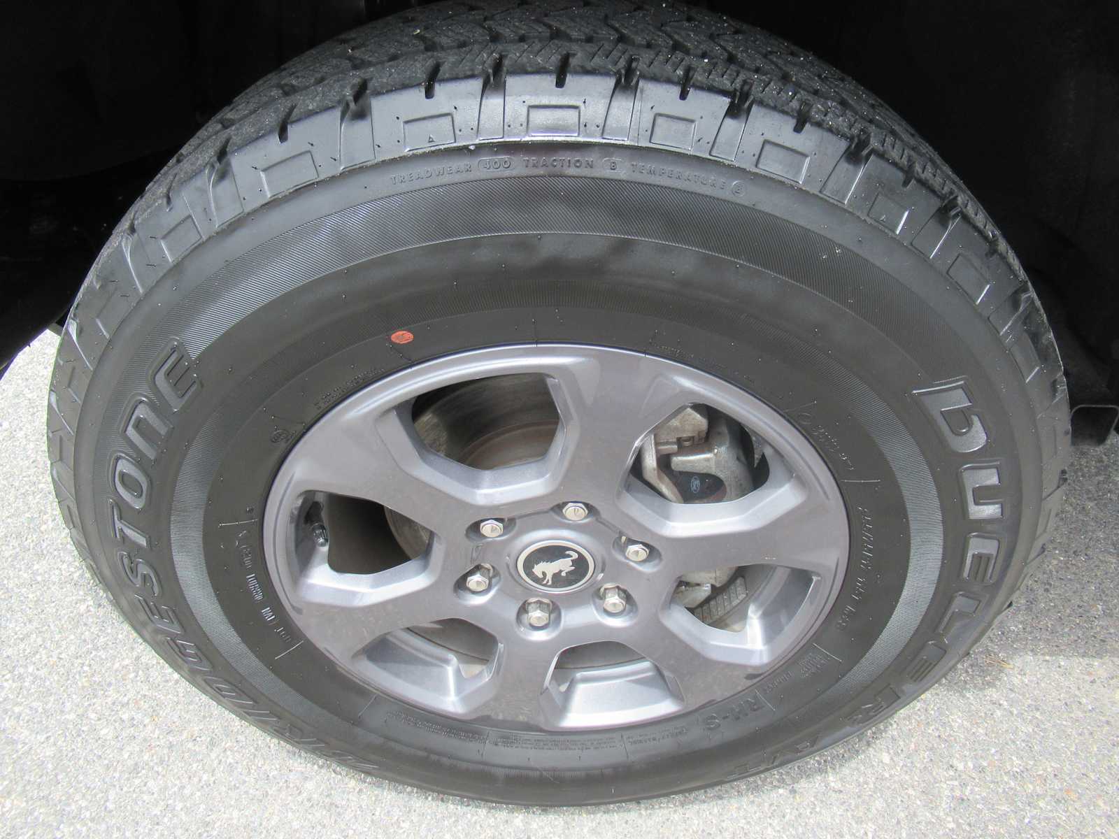 Photo 11