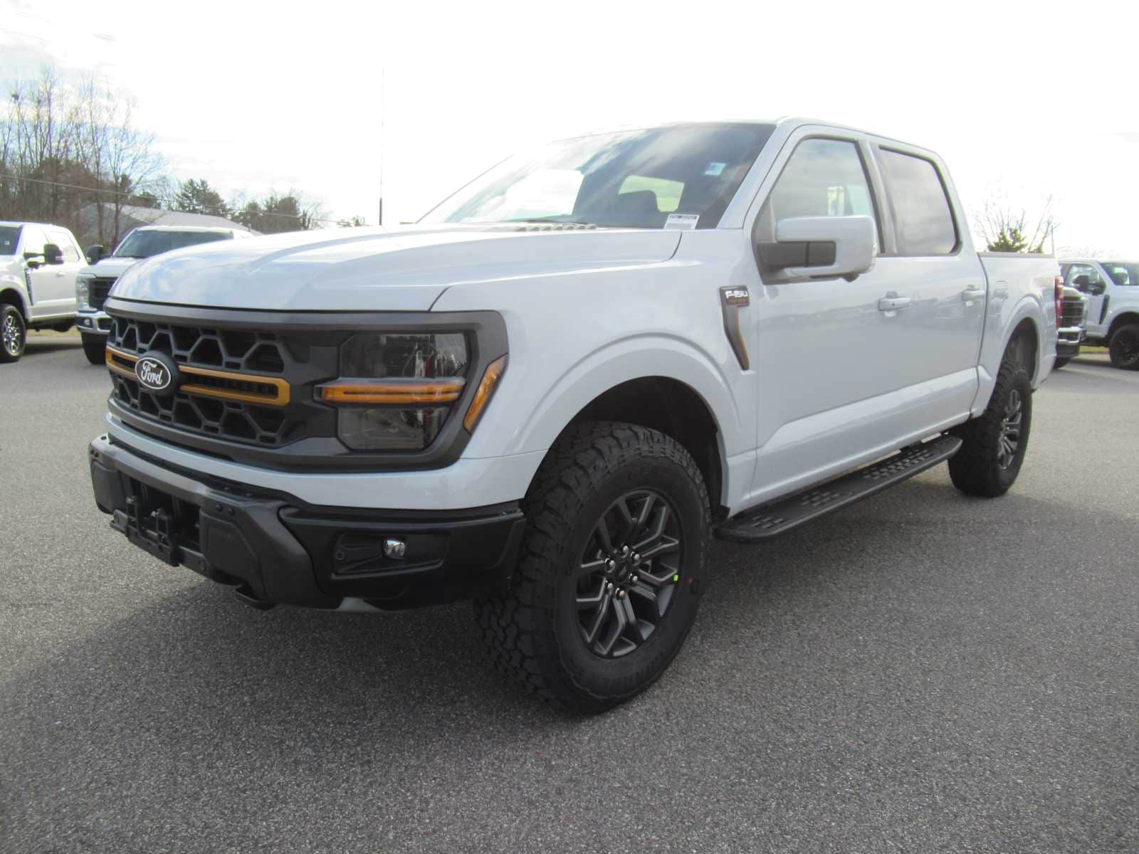2025 Ford F-150 Tremor's photo