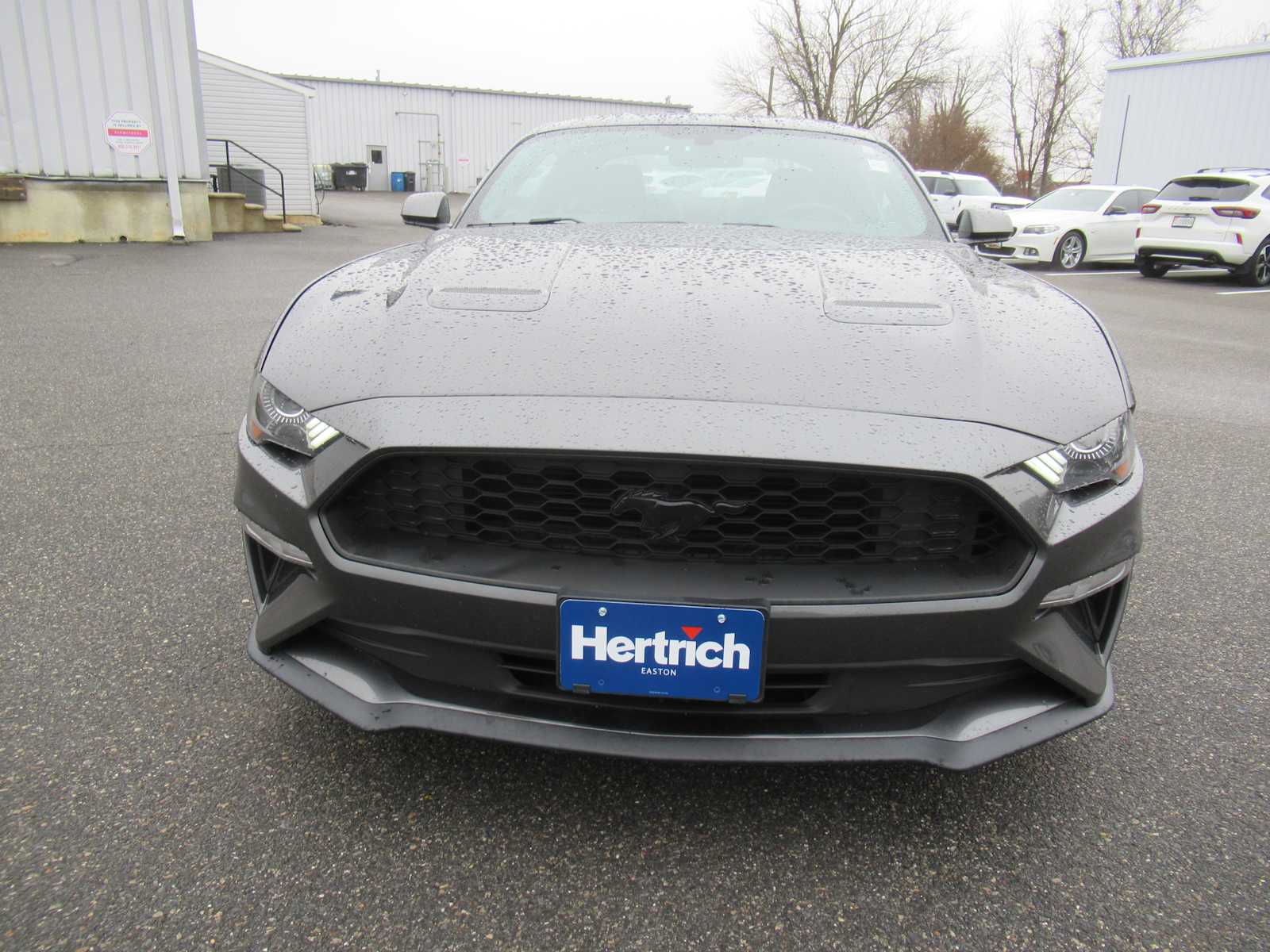Used 2018 Ford Mustang EcoBoost with VIN 1FA6P8TH2J5162941 for sale in Easton, MD