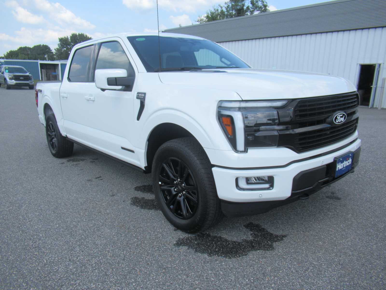 2025 Ford F-150 Platinum photo 3