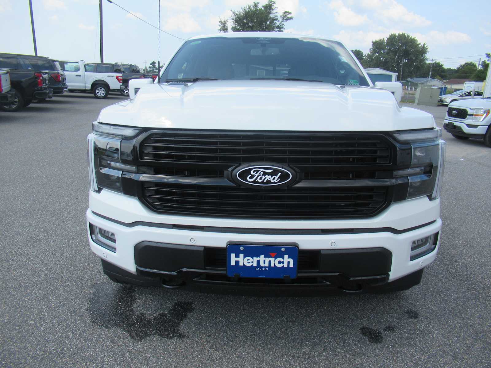 2025 Ford F-150 Platinum photo 2