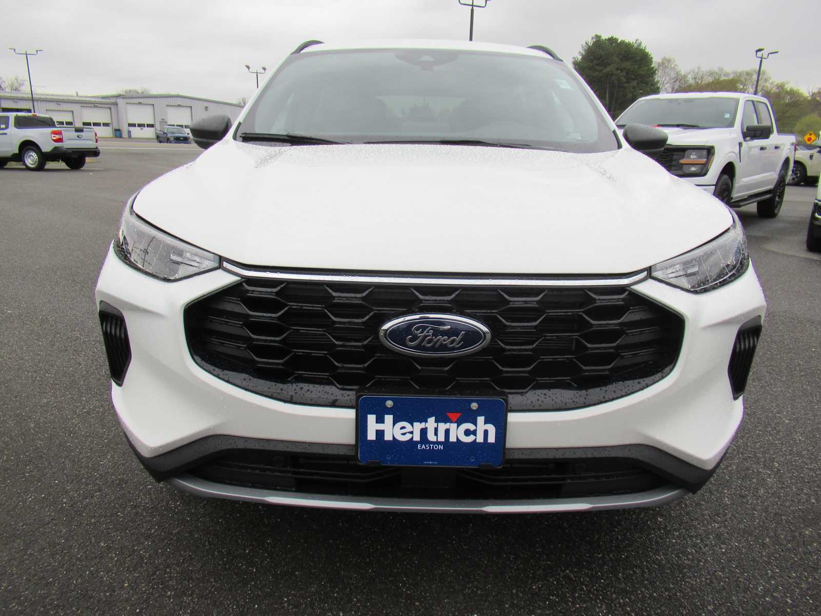 2025 Ford Escape ST-Line photo 2