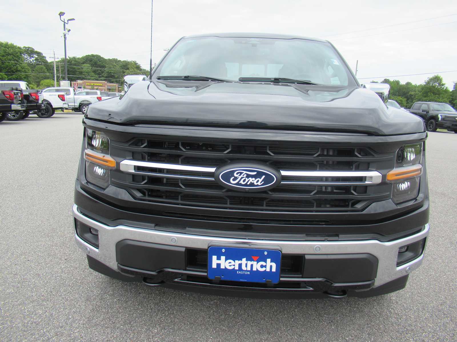 2025 Ford F-150 XLT photo 2