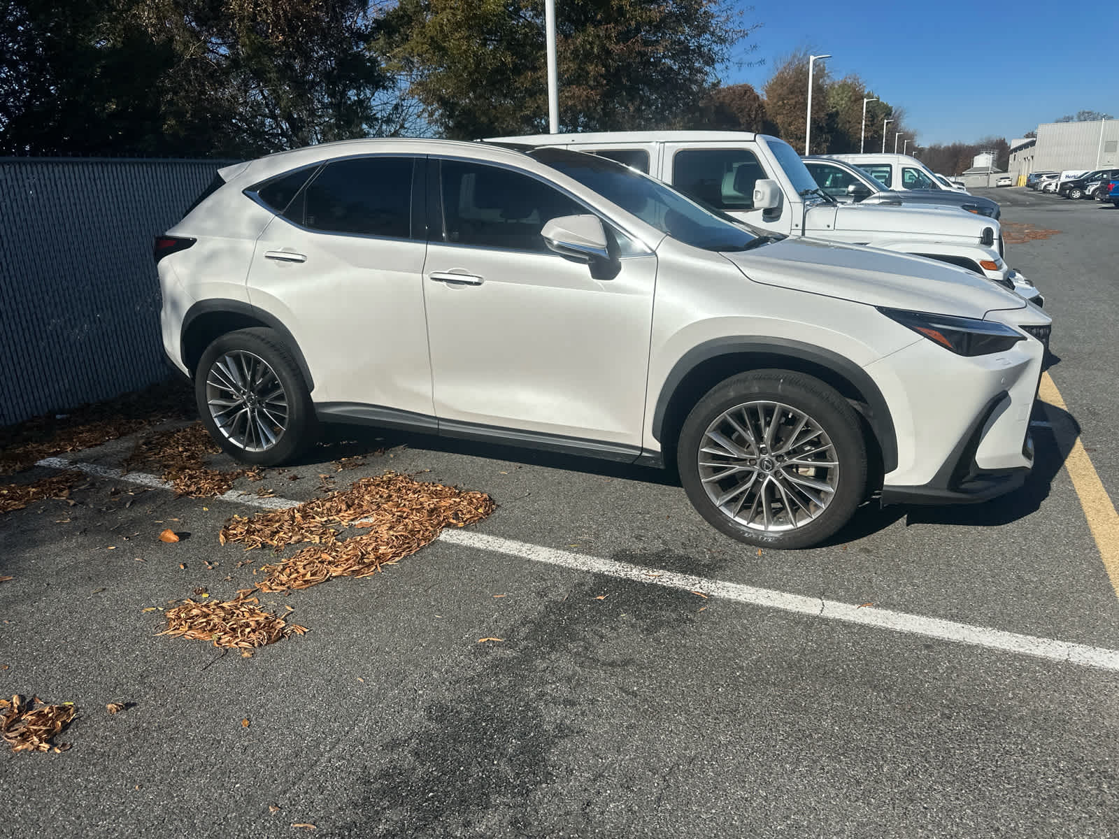 2022 Lexus NX 350 Luxury photo 4