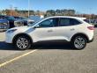 2022 Ford Escape SEL SUV