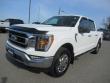 Used 2022 Ford F-150 XLT 4WD Supercrew 5.5 Box Truck SuperCrew Cab