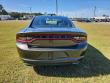 2023 Dodge Charger SXT Sedan 2023 Dodge Charger SXT Sedan