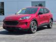 Used 2022 Ford Escape SE SUV