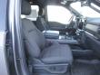 2024 Ford F-150 XLT 4WD Supercrew 5.5 Box Truck SuperCrew Cab