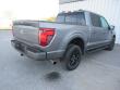2024 Ford F-150 XLT 4WD Supercrew 5.5 Box Truck SuperCrew Cab