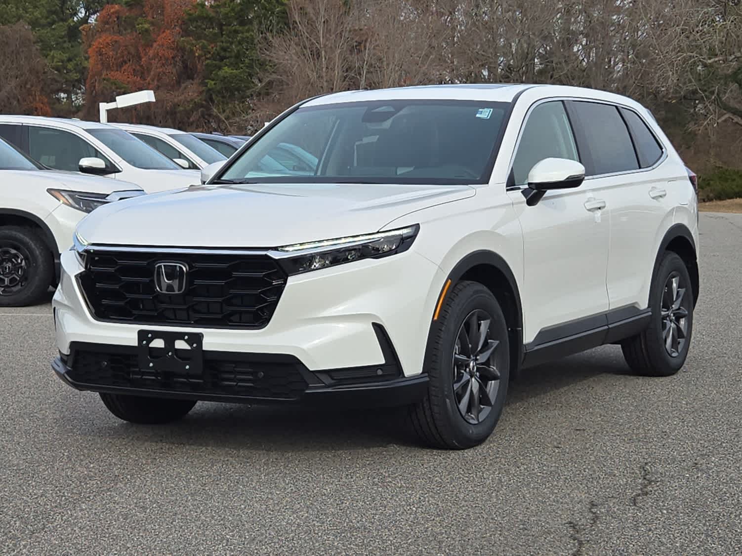 2026 Honda CR-V EX-L's photo