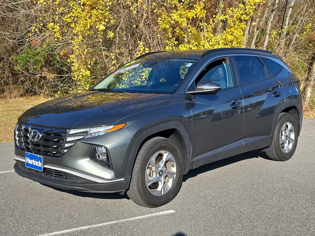 2024 Hyundai Santa Fe Calligraphy photo 2