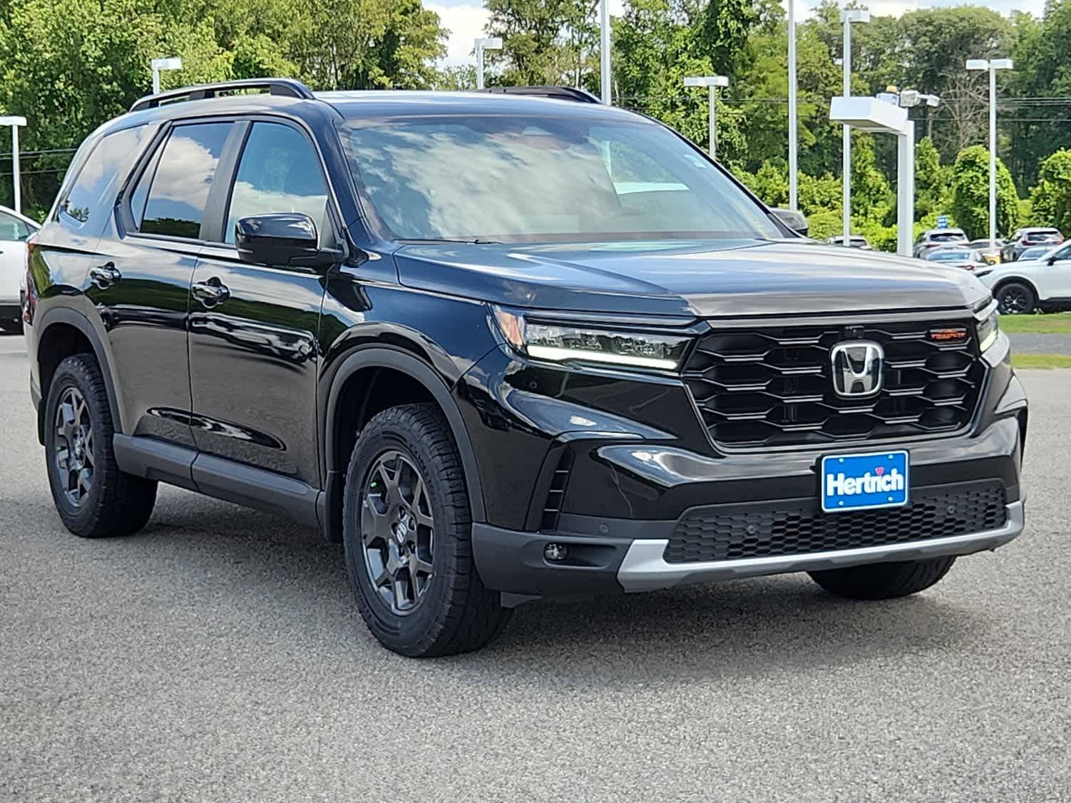 2025 Honda Pilot TrailSport photo 2